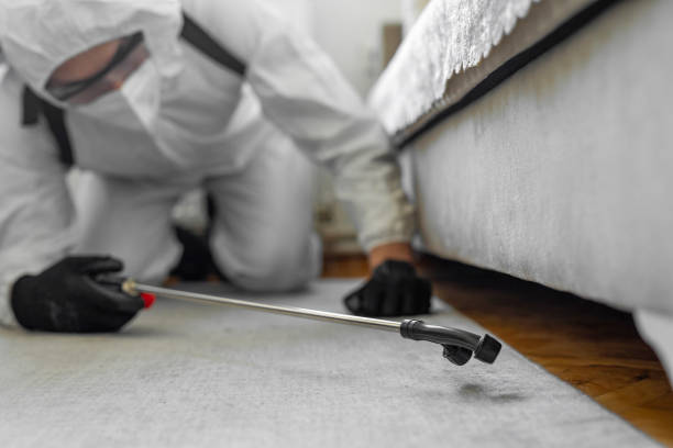 Professional Cockroach Control technician working in Barstow, CA