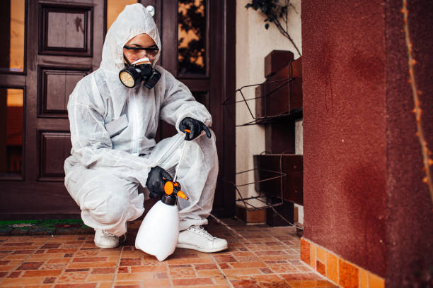Reliable Cockroach Control contractor in Barstow, CA by Nex Pest Control